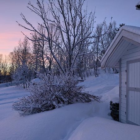 Cabin Magic On Senja, Atmosphere Like A Fairytale Botnhamn Exteriér fotografie
