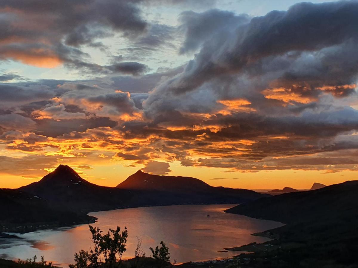 Cabin Magic On Senja, Atmosphere Like A Fairytale Botnhamn Exteriér fotografie