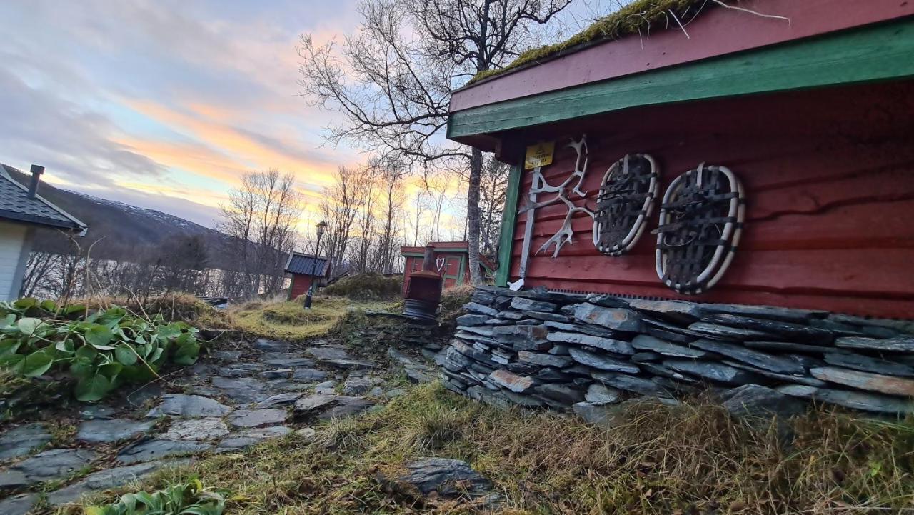 Cabin Magic On Senja, Atmosphere Like A Fairytale Botnhamn Exteriér fotografie