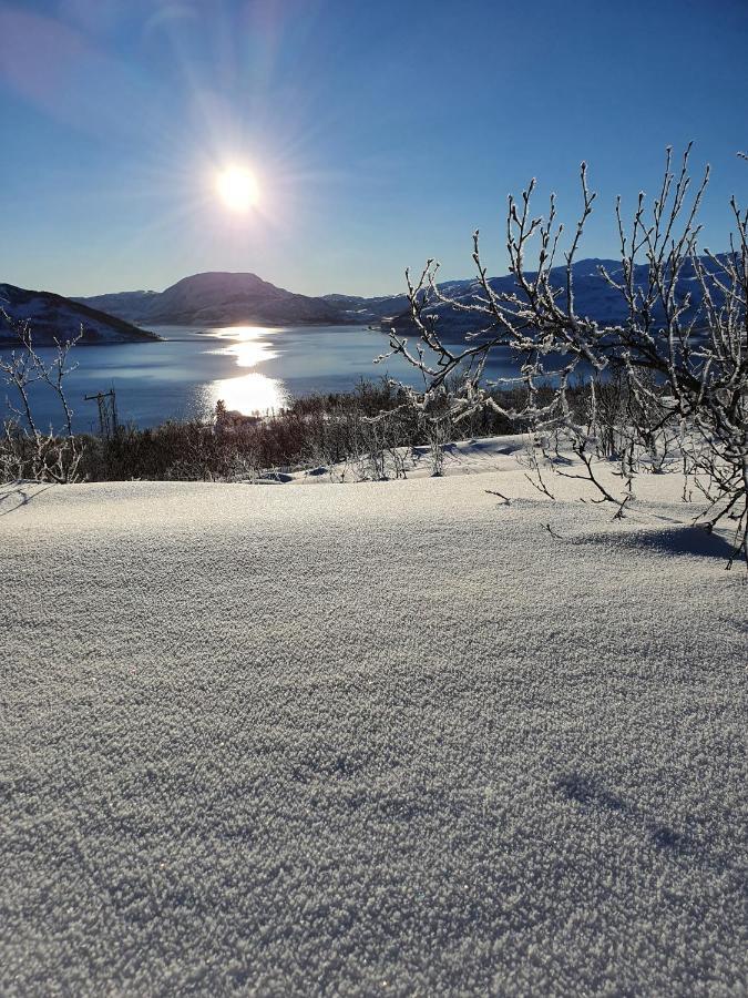 Cabin Magic On Senja, Atmosphere Like A Fairytale Botnhamn Exteriér fotografie