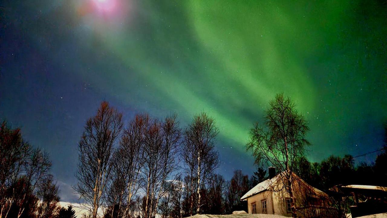 Cabin Magic On Senja, Atmosphere Like A Fairytale Botnhamn Exteriér fotografie