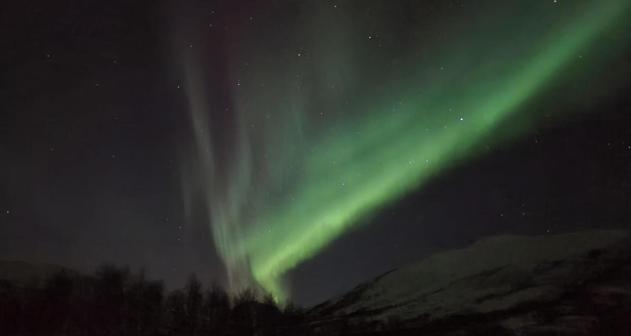 Cabin Magic On Senja, Atmosphere Like A Fairytale Botnhamn Exteriér fotografie