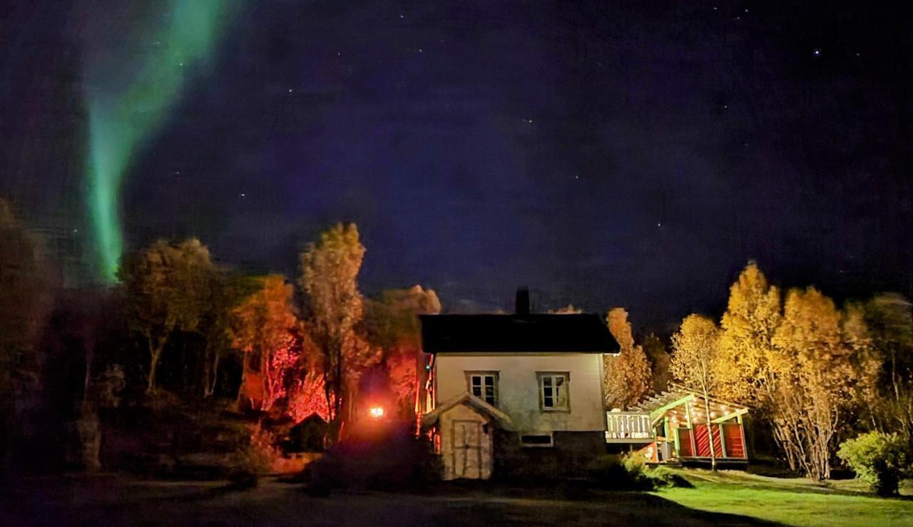 Cabin Magic On Senja, Atmosphere Like A Fairytale Botnhamn Exteriér fotografie