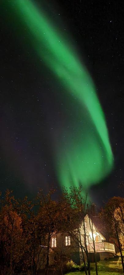 Cabin Magic On Senja, Atmosphere Like A Fairytale Botnhamn Exteriér fotografie