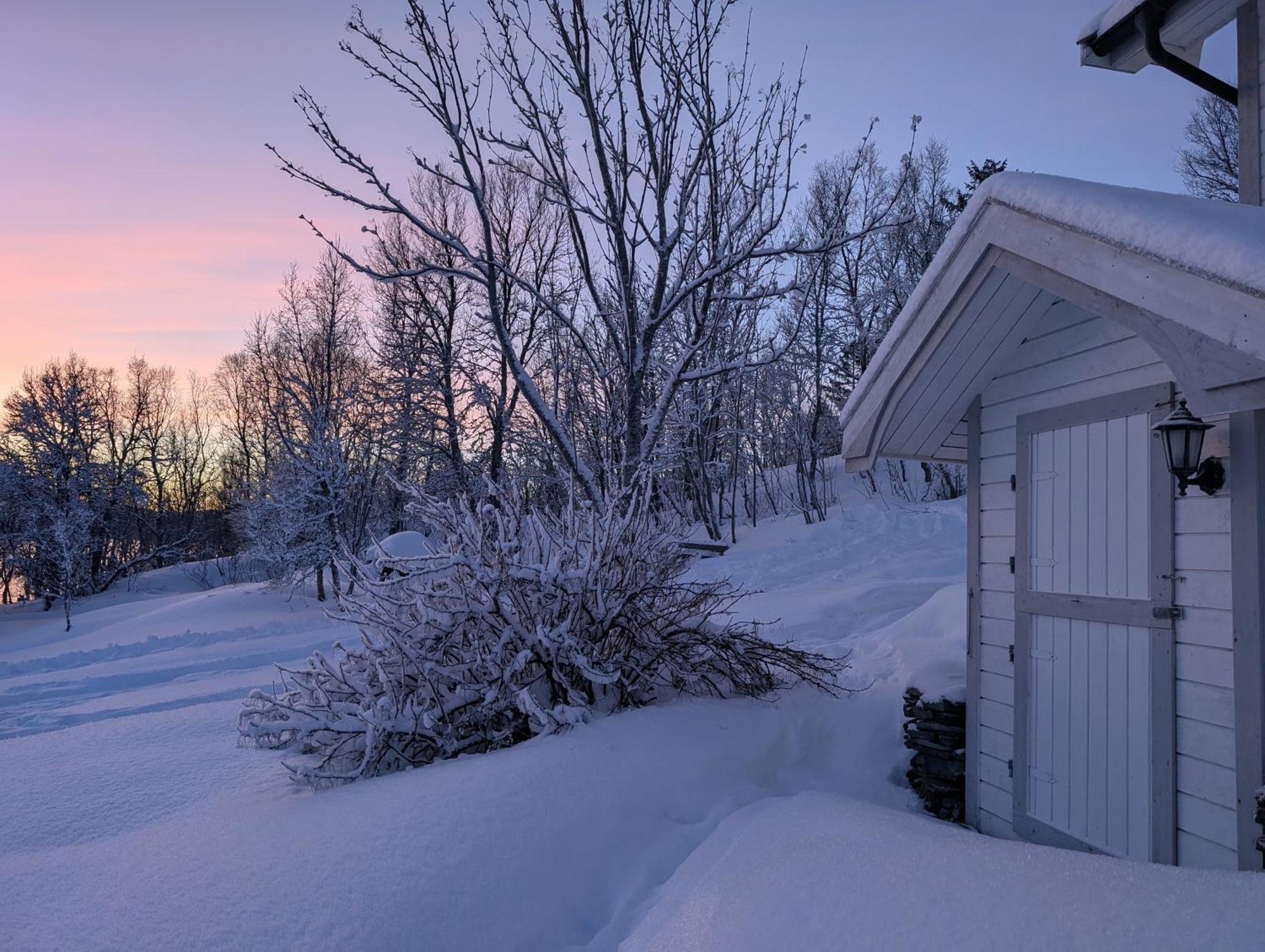 Cabin Magic On Senja, Atmosphere Like A Fairytale Botnhamn Exteriér fotografie